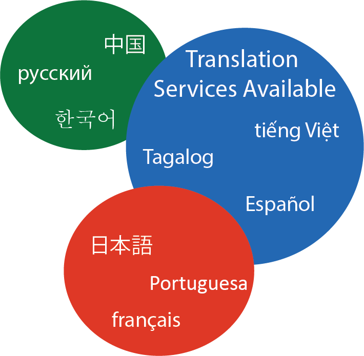 language image